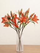 Orange color option