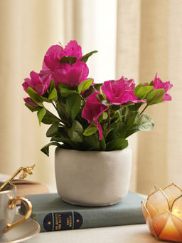 Pure Home + Living - Pink Artificial Azalea Plant with Cement Pot