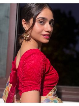 BINDIGASM'S ADVI - Gulshan Velvet Rose Organza Bow Stretchable Slip On Blouse