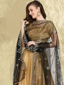Dupatta Bazaar - Women's Embroidered & Embellished Black Net Dupatta