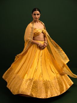 Sacred Weaves - Yellow Banarasi Semi-Stitched Lehenga with Unstitched Blouse and Dupatta