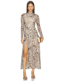 Bardot - Printed Mesh Women's Ruched Bodycon Midi Dress Beige