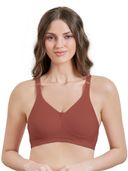 Brown color option, Currently selected