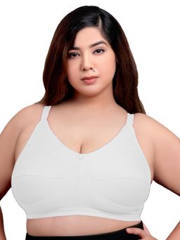 MAROON - Cotton Blend Seamed Non Padded Non-Wired Women Minimizer Bra - White