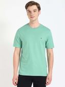 Green color option, Currently selected