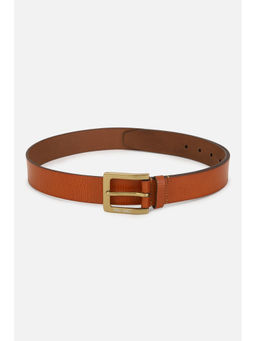 Allen Solly - Men Brown Textured Casual Belt