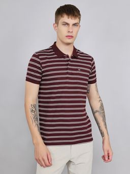 Monte Carlo - Men's Wine Regular Fit Half Sleeve Stripes Polo T-Shirt