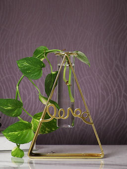 Tayhaa - Gold Transparent Metal & Glass Tube Flower Vase