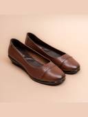 Brown color option, Currently selected