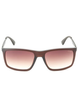 IRUS - Men UV Protected Brown Lens Rectangle Sunglasses (58)
