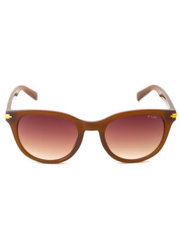 IRUS - Women UV Protected Brown Lens Cat Eye Sunglasses (53)