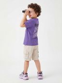 Lavender color option, Currently selected