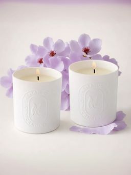 The Better Home - Golden Osmanthus Fragnance Candle