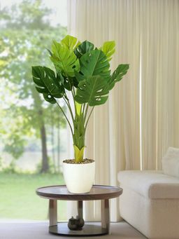 The Better Home - Green Artificial Plants with Pot 72 cm Long