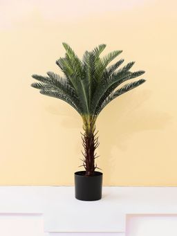 The Better Home - Artificial decorative plants- Sago Cycas FH-ST80