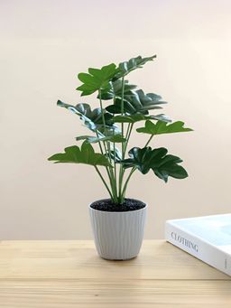 The Better Home - Artificial Plants with Pot Aesthetic Room Décor