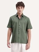 Olive color option