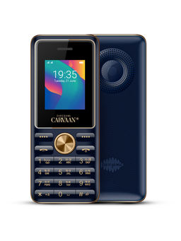 Saregama - Carvaan Blue Mobile Keypad Phone Bengali M11 with 1500 Pre-Loaded Songs