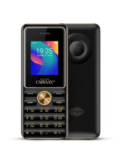 Saregama - Carvaan Black Mobile Keypad Phone Punjabi M11 with 1500 Pre-Loaded Songs