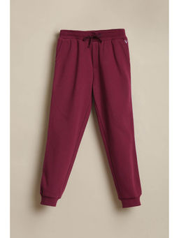 Allen Solly - Boys Maroon Solid Joggers