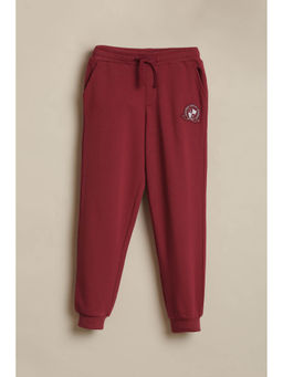 Allen Solly - Boys Maroon Solid Joggers