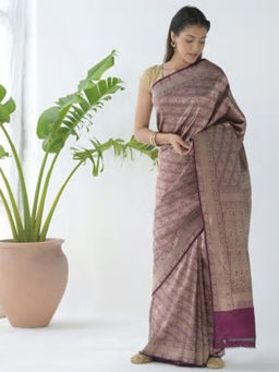 Fabindia - Silk Woven Banarasi Sari