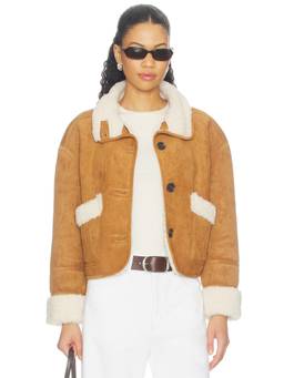 BLANKNYC - Faux Suede Women's Faux Fur Trim Button Jacket Brown