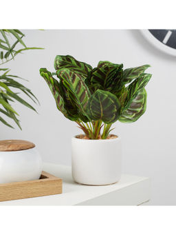 HomeTown - Ilana Faux Calathea Ceramic Potted Plant 25 Cm in Green Colour