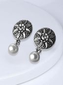 Silver color option, Currently selected