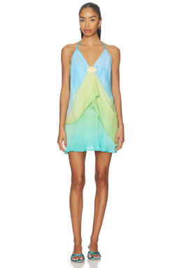 Baobab - Cassis Mini Dress