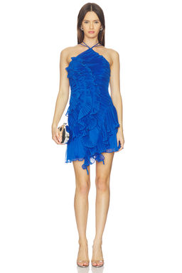 AMUR - Velora Mini Dress