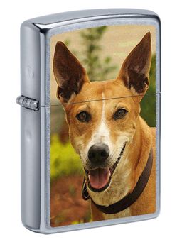 Zippo - Pariah Dog Windproof Pocket Lighter