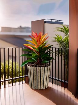 Kuber Industries - 11 Inch Wooden Texture Pots for Plants Balcony and Living Room Thai Wood