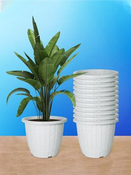 Kuber Industries - Marble Duro Flower Pot for Home & Gardening White (Pack of 12)