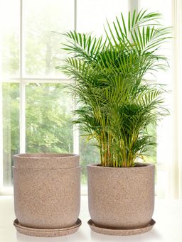 Kuber Industries - Marble Jaguar Flower Pot for Home & Garden with Tray Sand (Pack of 3)