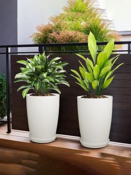 Kuber Industries - Plain Tower 14 Inch Flower Pot with Plate for Home & Garden White (Pack of 2)