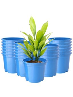 Kuber Industries - (Pack of 24) Synergy Phooldaan Flower Pot for Home Decor (6 Inch) Blue