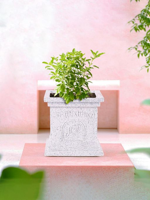 Kuber Industries 12 Inch Plastic Tulsi Mancha Gamla/Planter Pot Marble Design-White