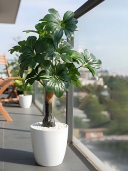 Aarvi Decor - Green Artificial Umbrella Plant With Base Big Size For Home Decor Without Pot