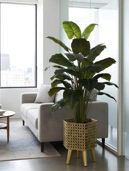 Aarvi Decor - Golden Metal And Wood Freestanding Hexagonal Luxe Planter