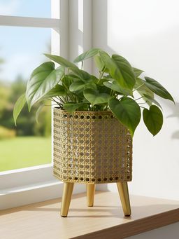 Aarvi Decor - Golden Metal And Wood Freestanding Hexagonal Luxe Planter