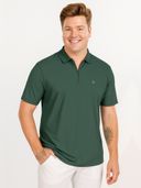 Green color option, Currently selected