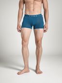 Blue color option, Sold out, Currently selected