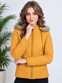 Mustard color option
