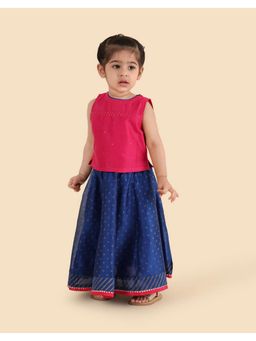 Fabindia - Blue Cotton Silk Lehenga and Choli
