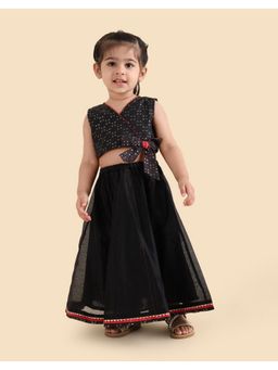 Fabindia - Black Cotton Silk Lehenga and Choli