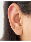 Green color option, Currently selected