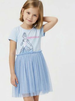max - Blue Printed Regular Dress