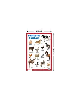 Pegasus - Domestic Animals Thick Laminated Primary Chart