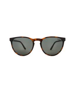 Le Specs - Invincible Men's Acetate Frame Sunglasses Tort & Khaki Mono